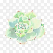 Ö²Îï-¿ÕÈôÍø Ö²Îï-¿ÕÈôÍø