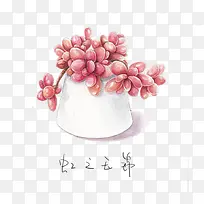 植物-空若网 植物-空若网