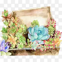 Ö²Îï-¿ÕÈôÍø Ö²Îï-¿ÕÈôÍø