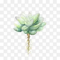 植物-空若网 植物-空若网