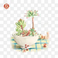 Ö²Îï-¿ÕÈôÍø Ö²Îï-¿ÕÈôÍø