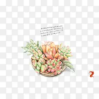 植物-空若网 植物-空若网