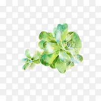 ֲ��-������