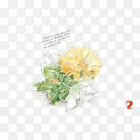 Ö²Îï-¿ÕÈôÍø Ö²Îï-¿ÕÈôÍø