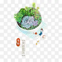 植物-空若网 植物-空若网