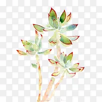 Ë®²ÊÖ²Îï-¿ÕÈôÍø Ë®²ÊÖ²Îï-¿ÕÈôÍø