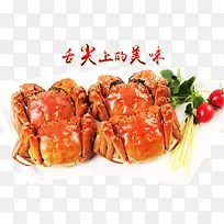 螃蟹-空若网 螃蟹-空若网