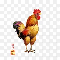 鸡年手绘-空若网 鸡年手绘-空若网