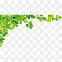 夏日海报绿叶效果摄影-空若网 夏日海报绿叶效果摄影-空若网