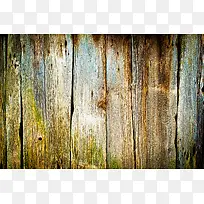 ����ľ�屳������-������