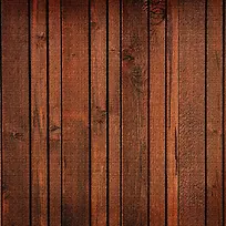 �ذ���Ӱ-������