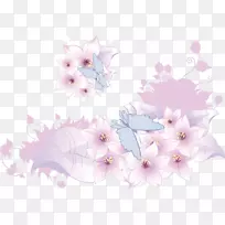 ��Ӱ��-�ۺ�ɫ��-������