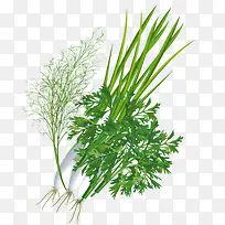 ��-������