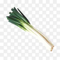 Êß²Ë-¿ÕÈôÍø Êß²Ë-¿ÕÈôÍø