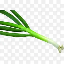 生鲜大葱绿色蔬菜-空若网 生鲜大葱绿色蔬菜-空若网
