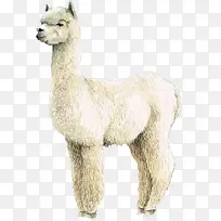 ������ ���� ��� ���� �ɰ�-������