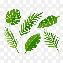 6¿îÂÌɫרéµÊ÷Ò¶Éè¼ÆÊ¸Á¿ËزÄ-¿ÕÈôÍø 6¿îÂÌɫרéµÊ÷Ò¶Éè¼ÆÊ¸Á¿ËزÄ-¿ÕÈôÍø