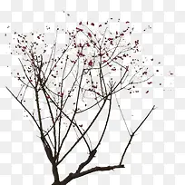 ֲ�ﱳ��  ����-������