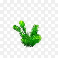 草丛-空若网 草丛-空若网