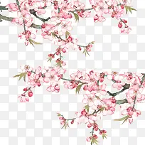 桃花装饰设计-空若网 桃花装饰设计-空若网