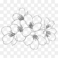 �ֻ��һ�-������