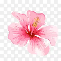 �ֻ��һ�-������