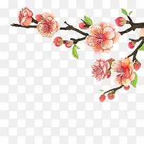 桃花手绘插画花-空若网 桃花手绘插画花-空若网