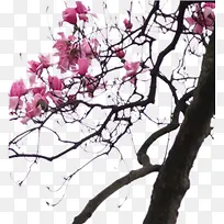 �һ���-������