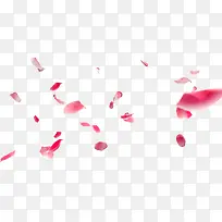 高清创意摄影飞扬的桃花-空若网 高清创意摄影飞扬的桃花-空若网