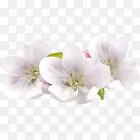 ��ɫ�һ�ʵ��-������