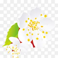 白色桃花图案-空若网 白色桃花图案-空若网