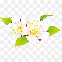 白色桃花盛开-空若网 白色桃花盛开-空若网