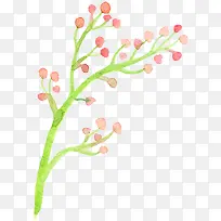 ˮ�ʻ���֦������Լ-������