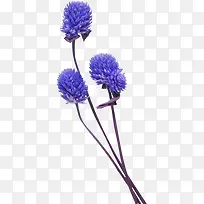 ޹�²�-������