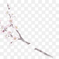 ��ɫ��֦�ֻ�廭-������