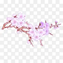 紫色花枝手绘插画-空若网 紫色花枝手绘插画-空若网