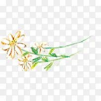 ÊÖ»æ²å»»¨¶ä»¨Ö¦-¿ÕÈôÍø ÊÖ»æ²å»»¨¶ä»¨Ö¦-¿ÕÈôÍø