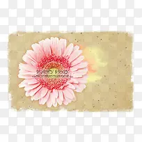 ��ױƷ���������ز�-������