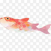 水彩 鱼插画-空若网 水彩 鱼插画-空若网