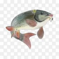 Öйú·çË®²Ê»ÀðÓã-¿ÕÈôÍø Öйú·çË®²Ê»ÀðÓã-¿ÕÈôÍø