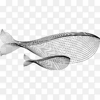 AI混合模式,鲸鱼大小-空若网 AI混合模式,鲸鱼大小-空若网