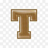 ��������ĸt-������