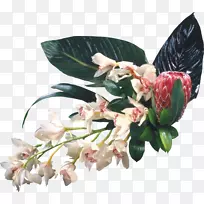 �л�������������������-������