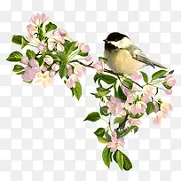 鸟语花香-空若网 鸟语花香-空若网