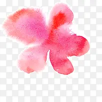 多彩的花-空若网 多彩的花-空若网