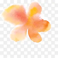 一朵多彩的花-空若网 一朵多彩的花-空若网