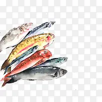 ��ɫ����-������