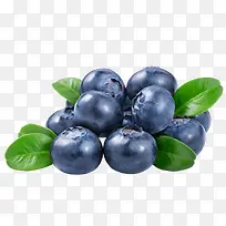 蓝莓新鲜素材-空若网 蓝莓新鲜素材-空若网