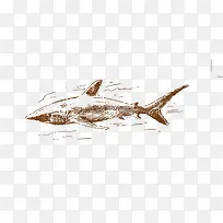 手绘鲨鱼-空若网 手绘鲨鱼-空若网