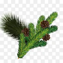 ����֦-������